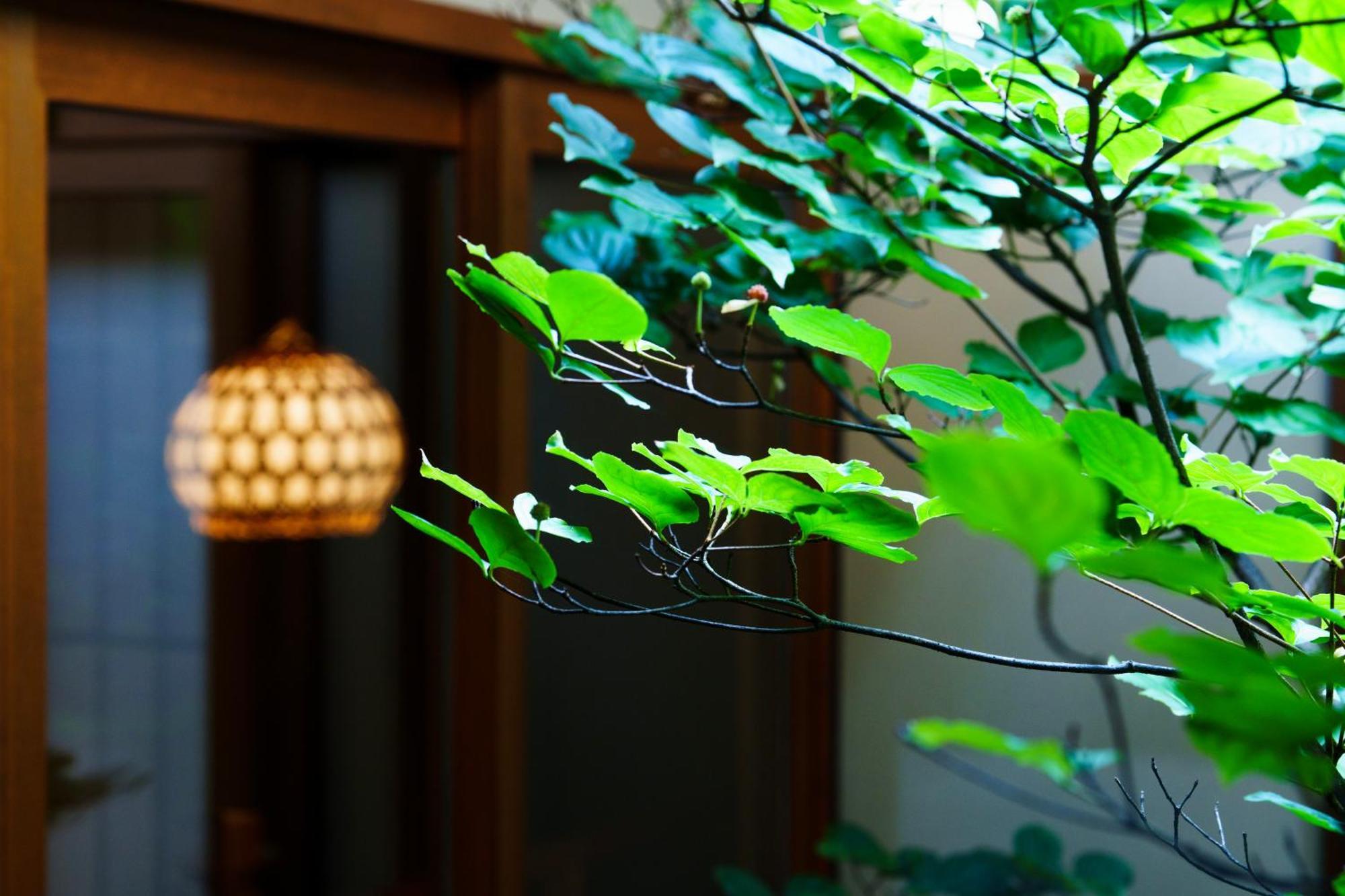 Villa Hotori Kioto Exterior foto